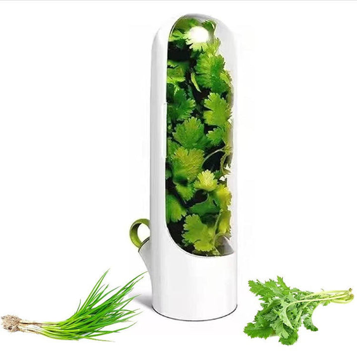 White herb keeper cup filled with fresh coriander