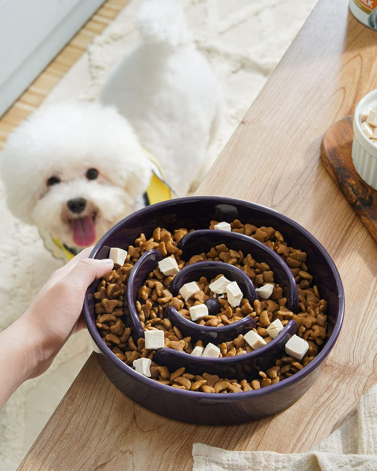 Dog eating from spiral slow feeder bowl