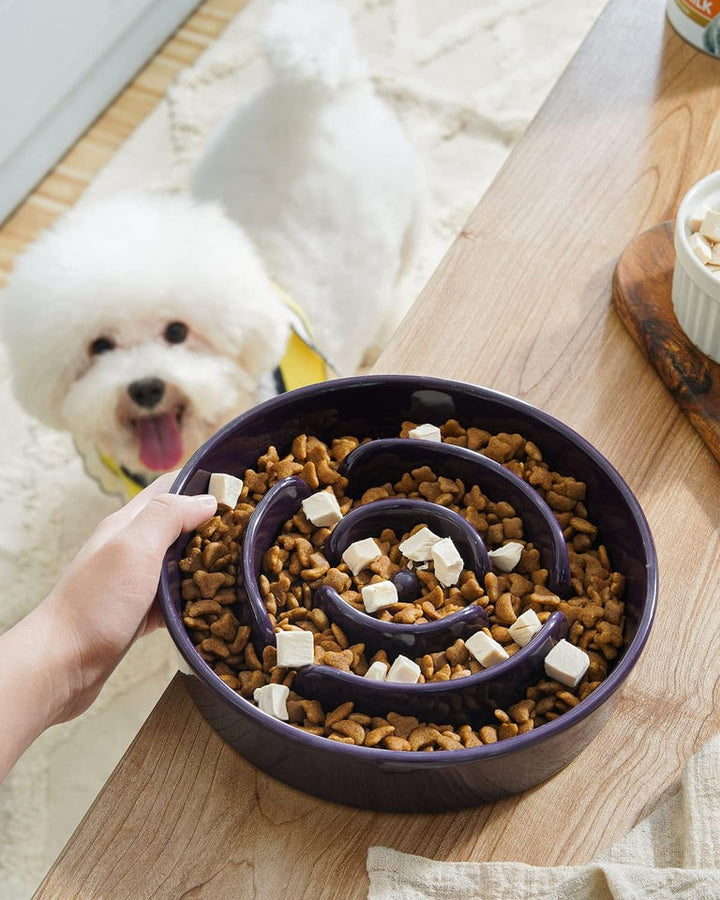 Dog eating from spiral slow feeder bowl