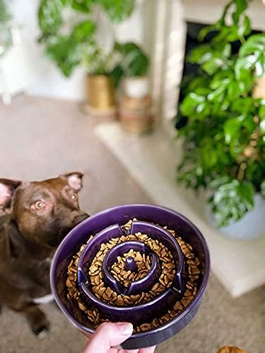 Slow feeder bowl filled with dry food