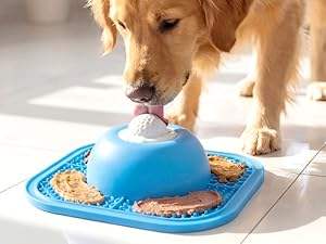Golden retriever using the 2-in-1 slow feeder mat