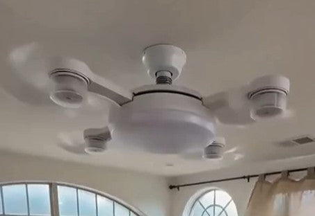 Light Fan